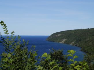 bilden föreställer Omberg i Östergötland