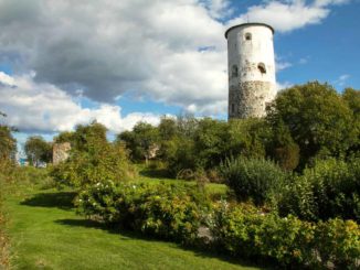 bilden föreställer Stegeborg slottsruin