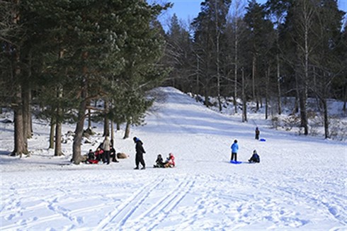 bilden föreställer pulkabacke i Valla