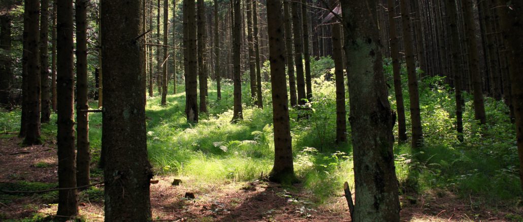 bilden föreställer KFUM Stora Rängen