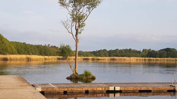 stureforsbadet i linköping östergötland