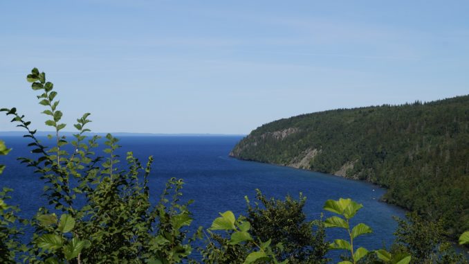 bilden föreställer Omberg i Östergötland