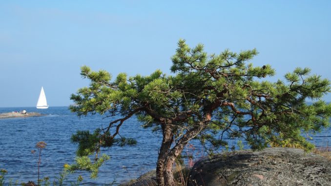 Bilden föreställer Sankt Annas skärgård